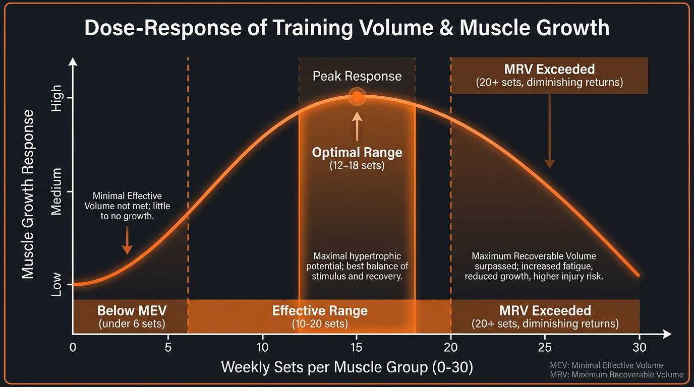 Diagram showing how the Training Volume Calculator works