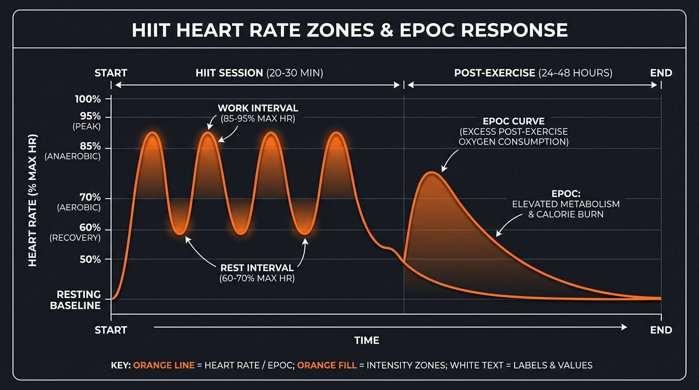 Diagram illustrating key concepts from 30-Day HIIT Challenge: Burn Fat and Build Muscle in Just 20 Minutes a Day