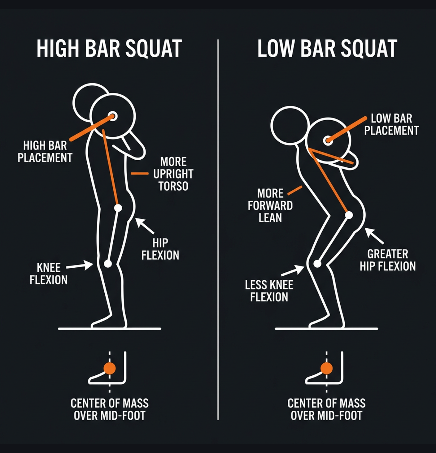 Diagram illustrating key concepts from High Bar vs Low Bar Squat: Which Should You Do?