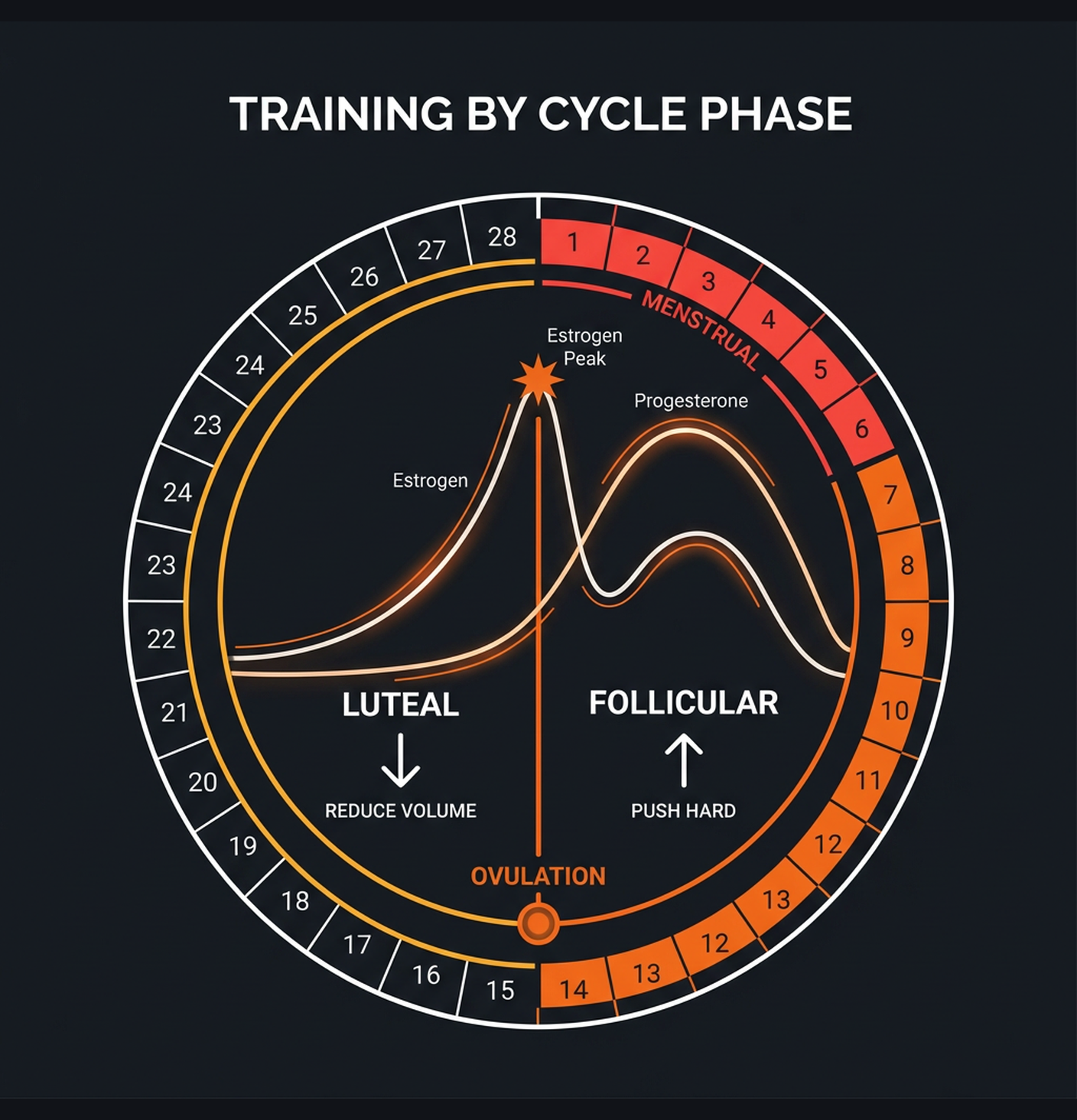 Diagram illustrating key concepts from Training Around Your Menstrual Cycle: A Strength Guide for Women