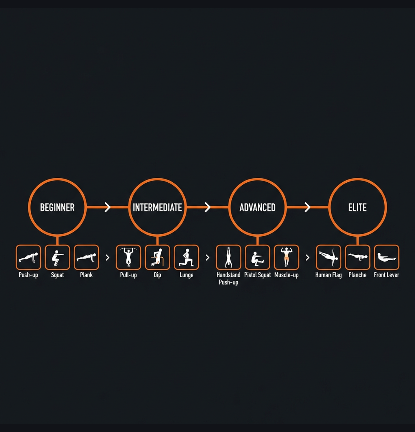 Diagram illustrating key concepts from Calisthenics Skills Progression Program