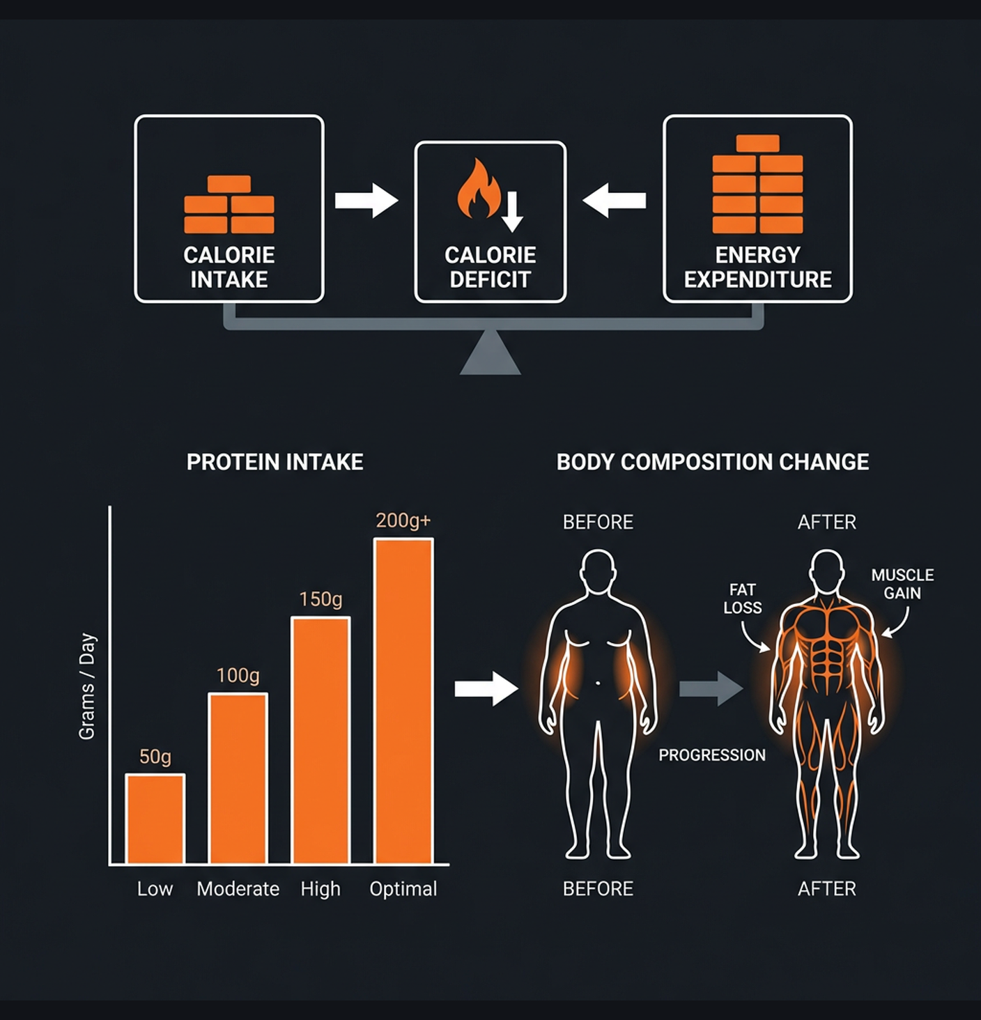 Diagram illustrating key concepts from Cutting Program: Maintain Muscle, Lose Fat