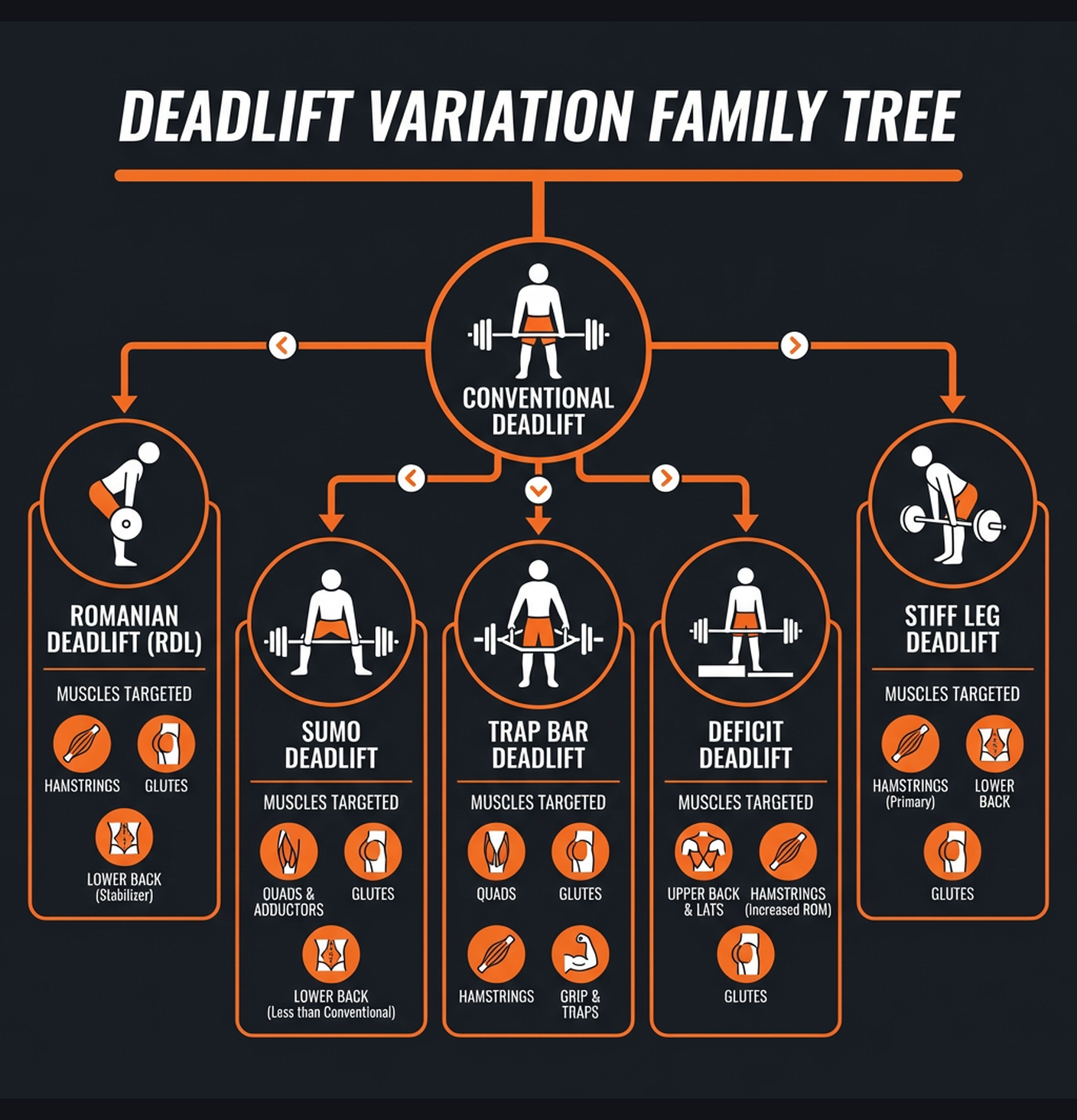 Diagram illustrating key concepts from Hip Hinge Mastery: Deadlift Variations
