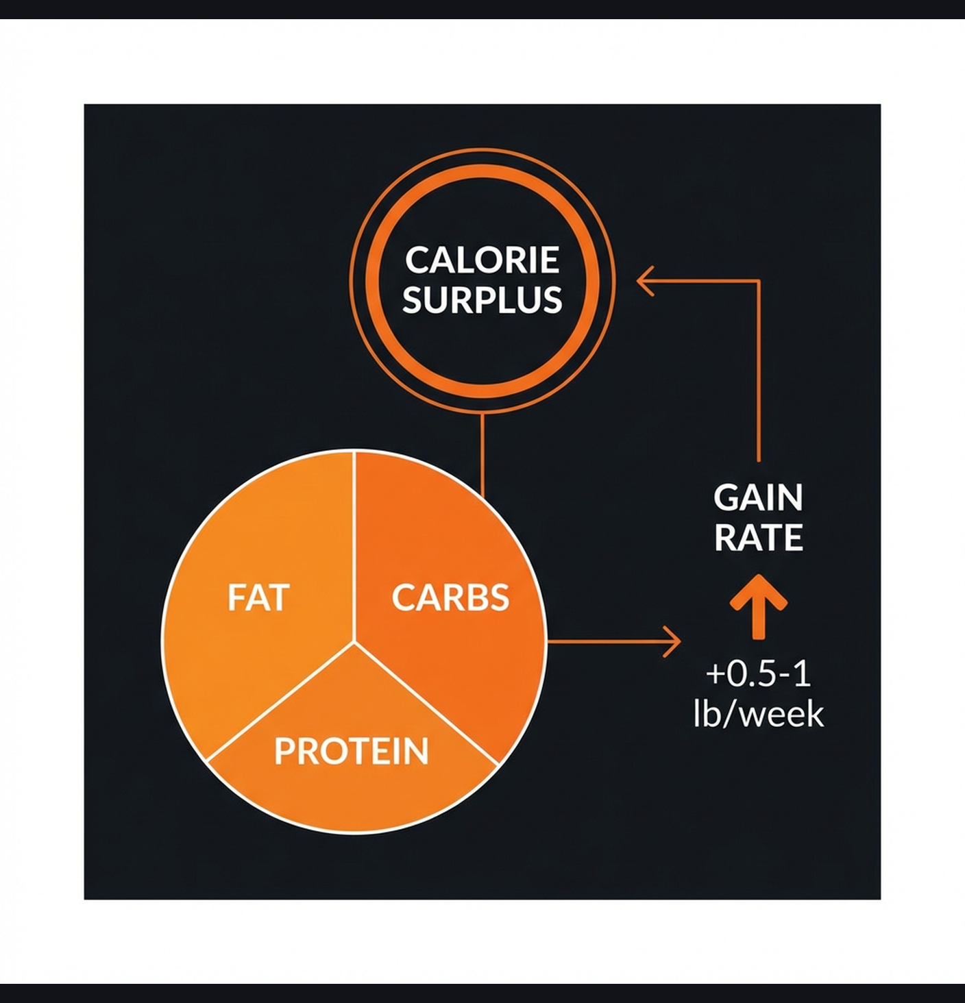 Diagram illustrating key concepts from Lean Bulk: 12-Week Muscle Building Program