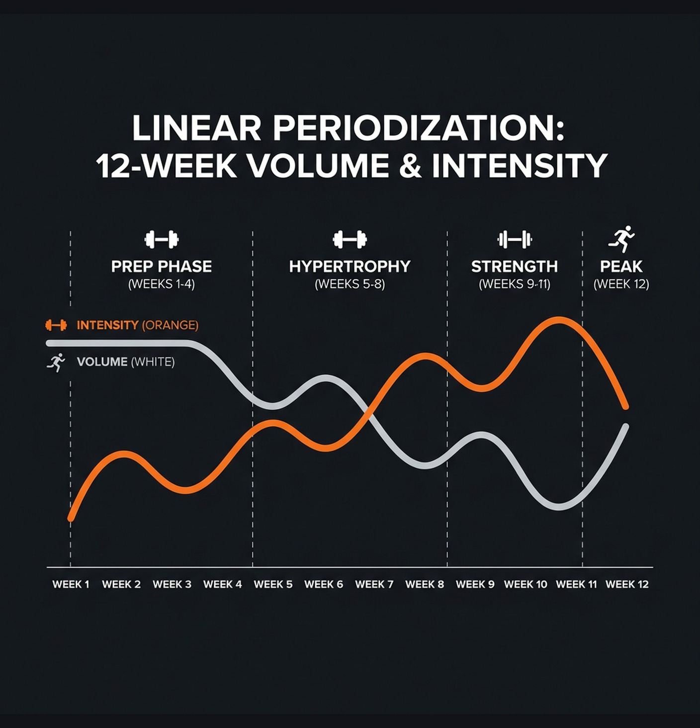 Diagram illustrating key concepts from Linear Periodization: 12-Week Strength Cycle