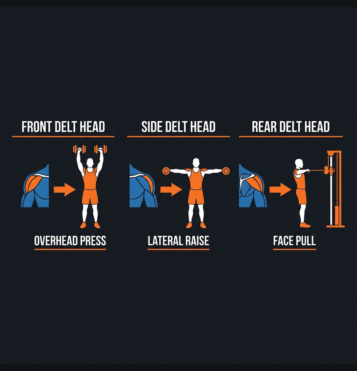 Diagram illustrating key concepts from Shoulder Builder: 8-Week Boulder Shoulders