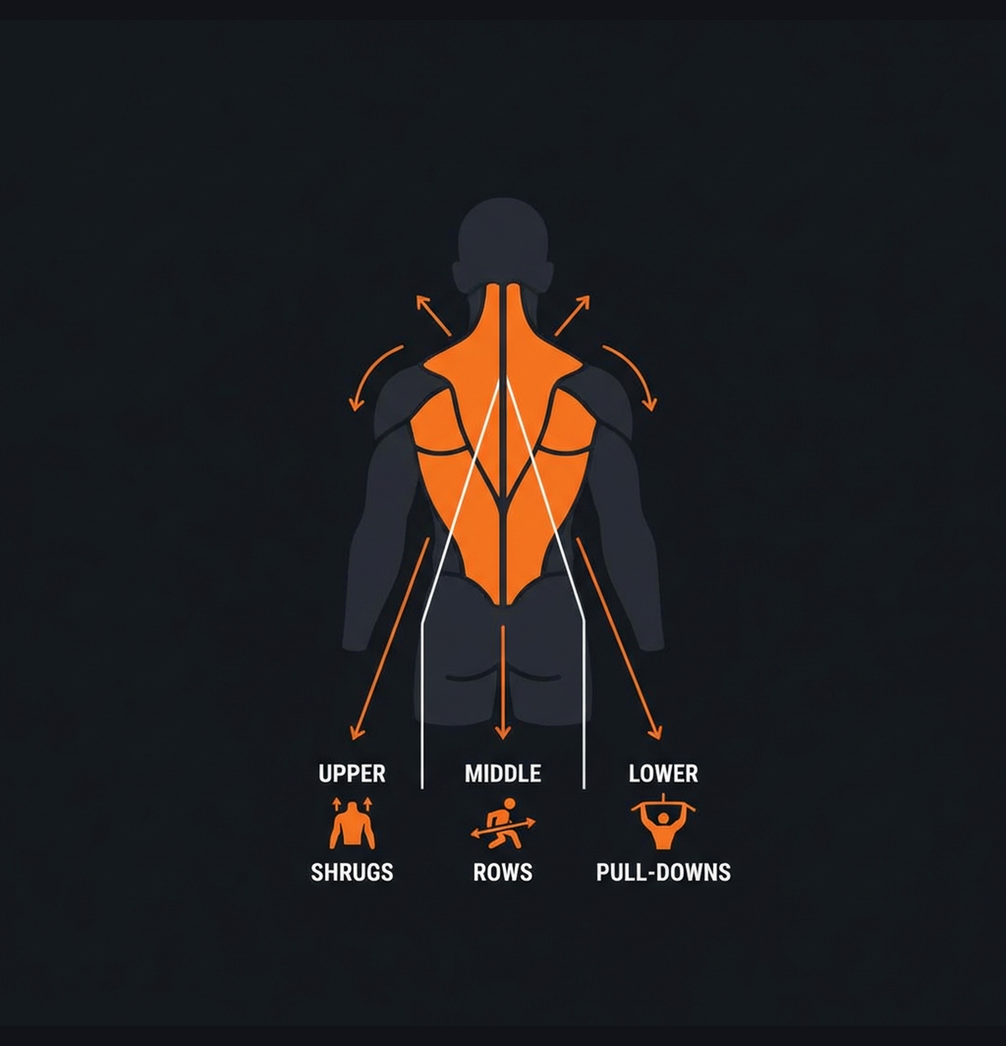 Diagram illustrating key concepts from Trap Builder: Thick Neck & Yoke Program