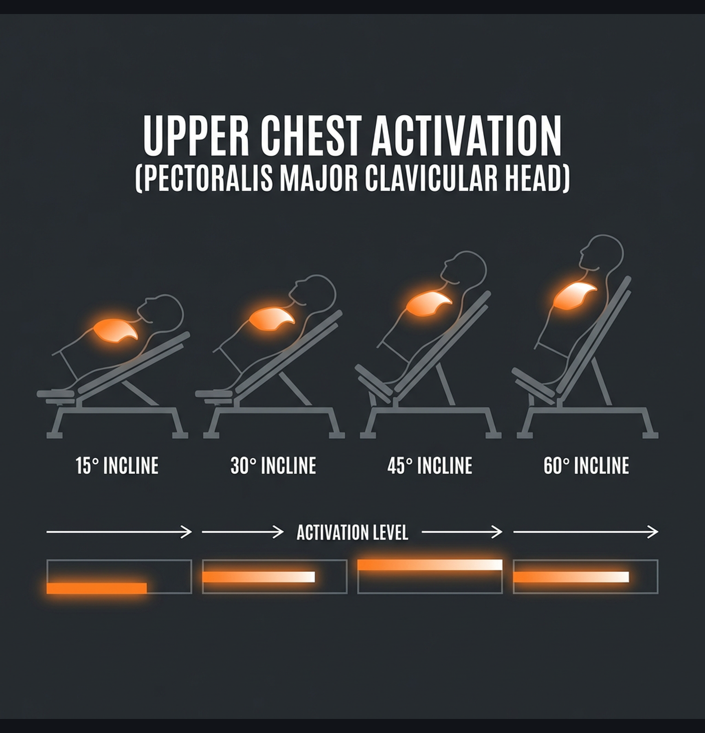 Diagram illustrating key concepts from Upper Chest & Front Delt Builder